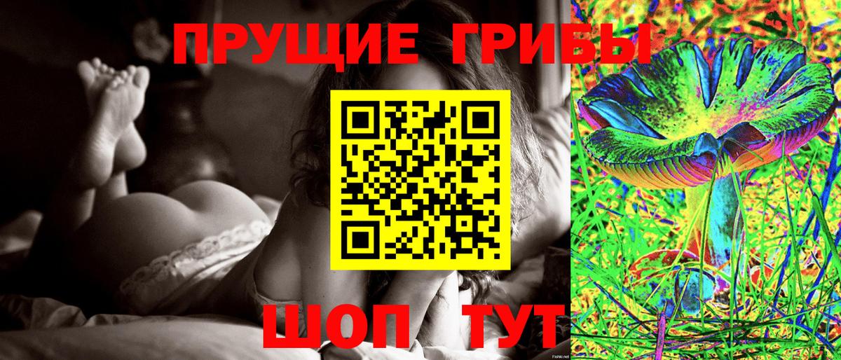 Галлюциногенные грибы Psilocybine cubensis Рыбинск